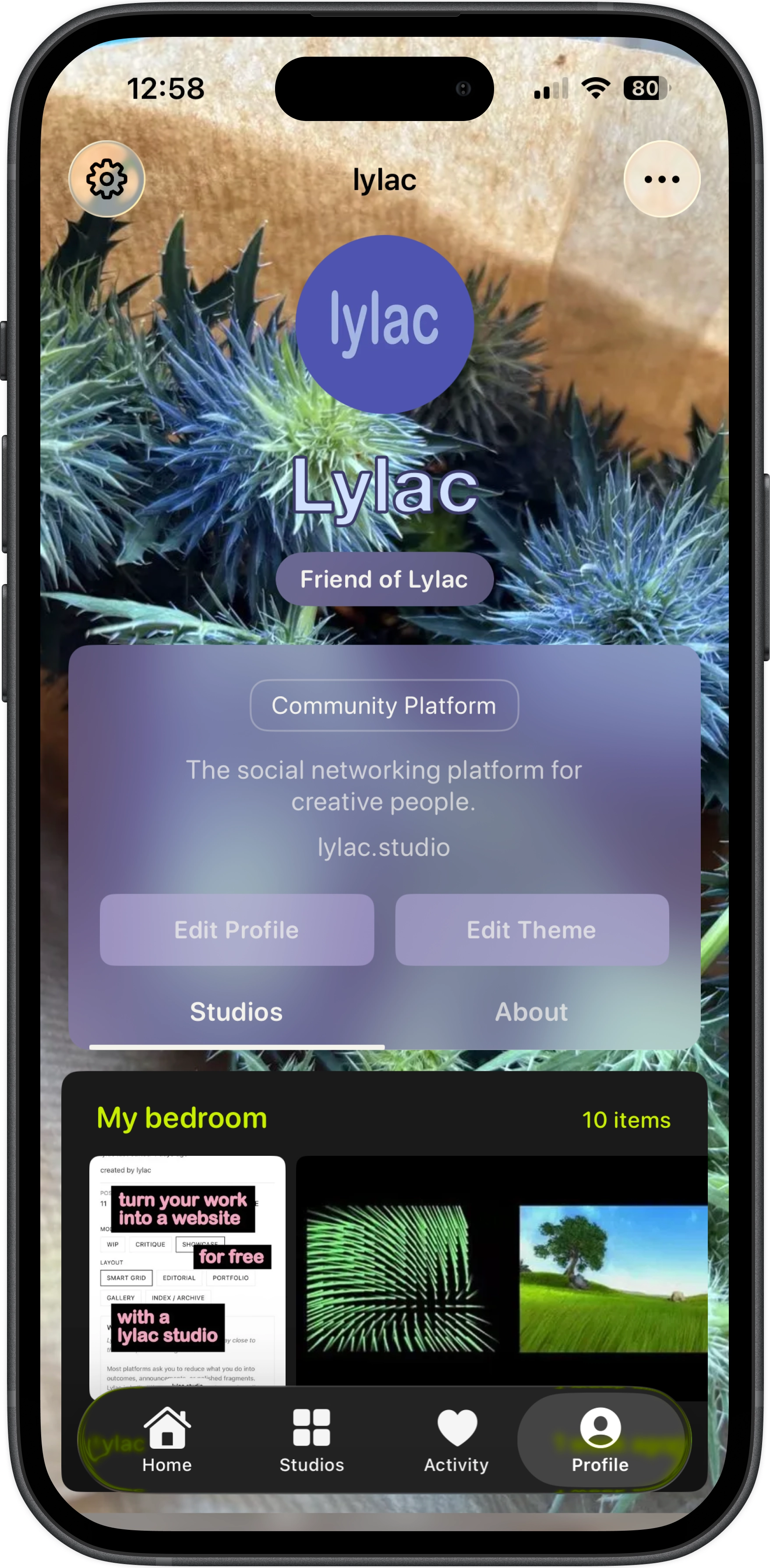Lylac profile showing a distinct editorial profile styling approach
