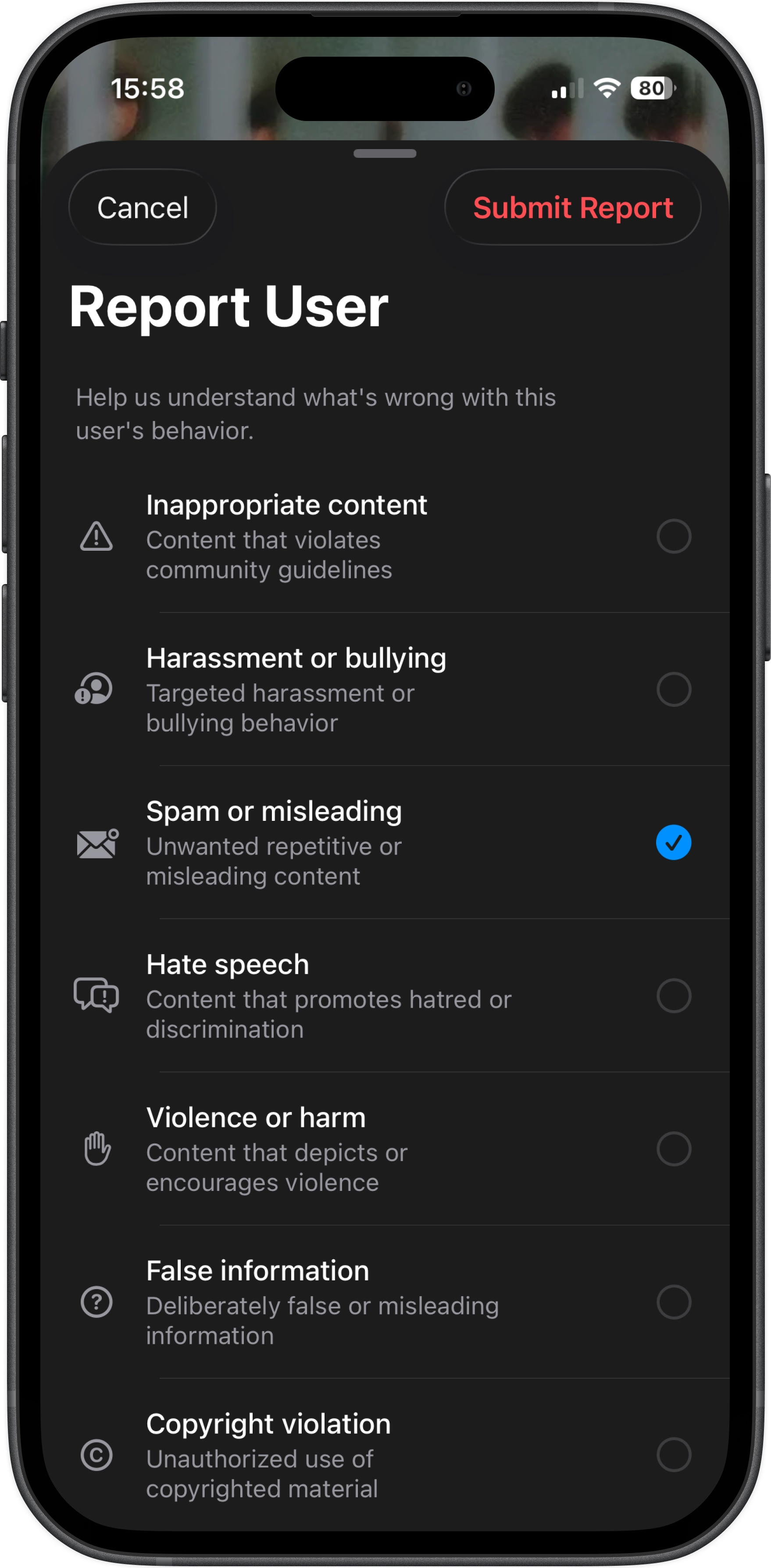 Report user interface for reporting inappropriate behaviour